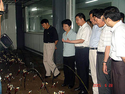 QY千亿国际